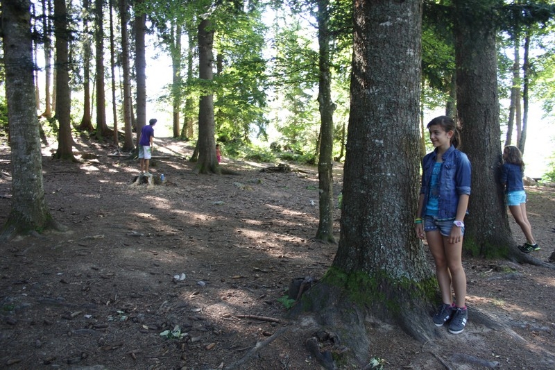 Village Camps International Summer Camp Leysin, Switzerland 2026-07-14 https://www.villagecamps.com/journals_admin/images/709-43-nature (35).jpg